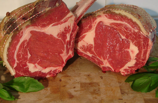 Rolled Rib