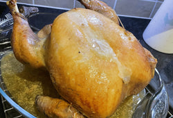 9kg Bronze Turkey