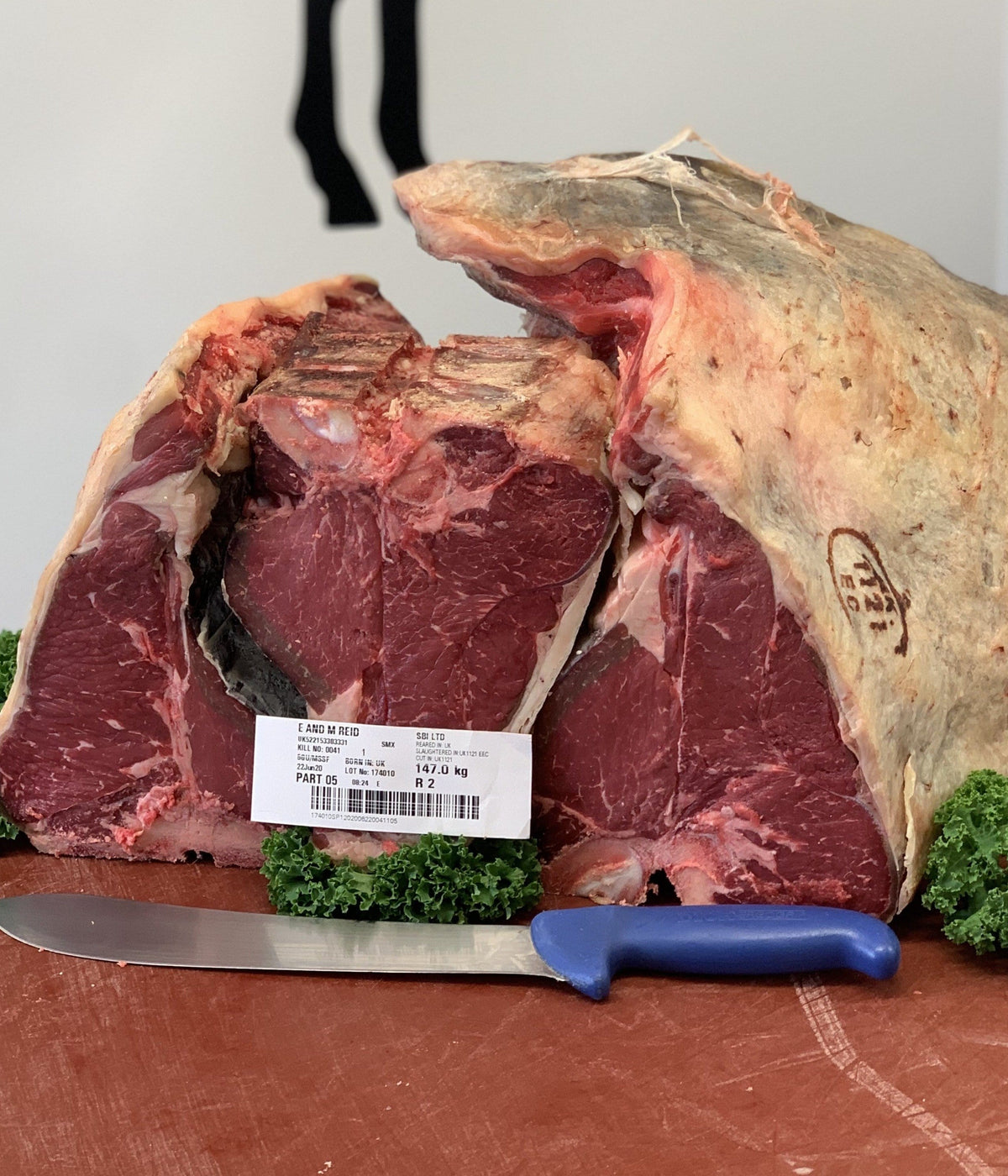 T-Bone