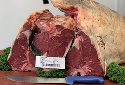 T-Bone