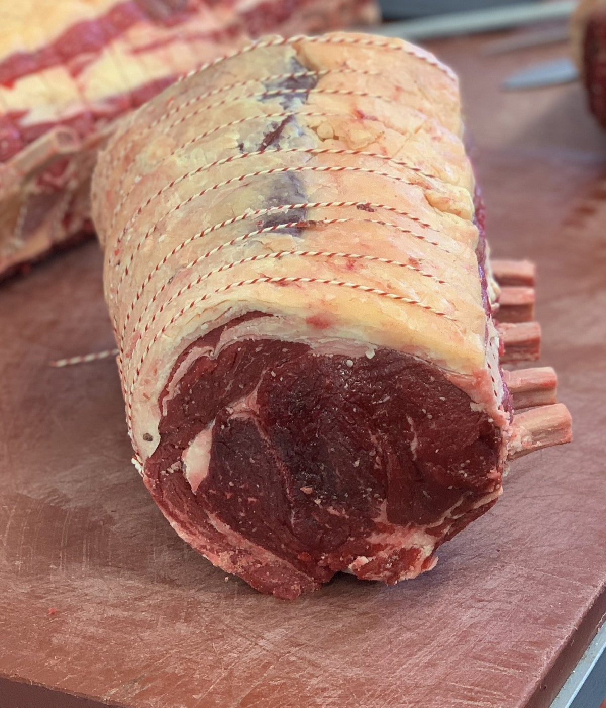 Rolled Rib